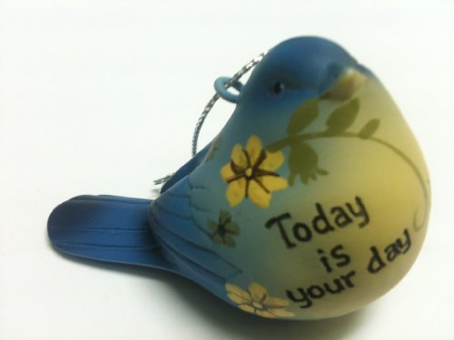 Today Is Your Day Bird Decoration