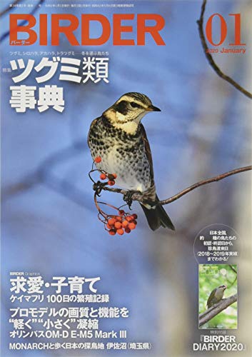 オライリー 無料電子書籍 BIRDER(バーダー)2020年1月号 ツグミ類 事典【特別付録 BIRDER DIARY 2020】 バイ