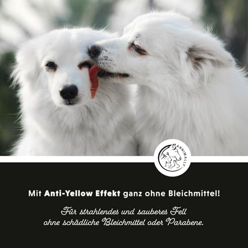 Annimally White Plus Conditioner - Natürliche FellspüLung mit Sheabutter für strahlend weißes Fell, ph-neutrale, feuchtigkeitsspendende Pflege für weißes Fell ohne Bleichmittel & Parfüm - 500 ml