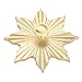 YYDFPIIA 1pc Golden Maple Leaf Shaped Knob Solid Brass Cabinet Handle Snowflake Pull Cabinet 123mm Cupboard Drawer Kitchen Hardware Screw