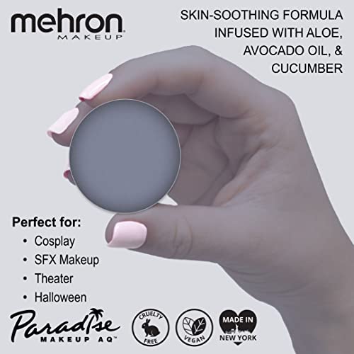 Image of Mehron Makeup Paradise Makeup AQ Refill Size | Stage & Screen, Face & Body Painting, Beauty, Cosplay, Halloween | Water Activated Face Paint, Body Paint .25 oz (7 ml) (STORM CLOUD)