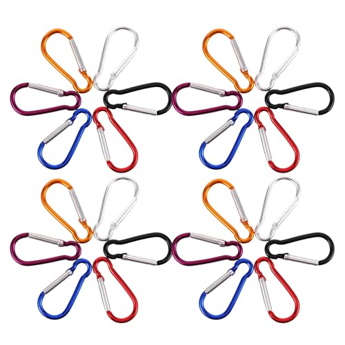 ROMISBABA 60 A~JriNbv yʑϋvXibvtbN p{gz_[obNpbNL[O AEghAoRpxr[J