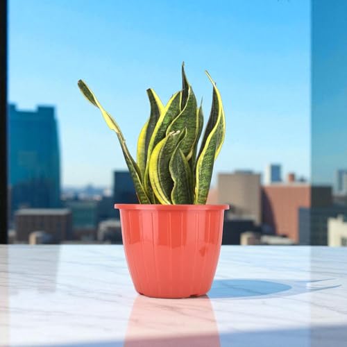 Image of Go Hooked Sunshine Flower Pot /Planters for Home Decor, Plastic Pots for Gardening /Home, Flower Pots Indoor-Outdoor & Planter for Plants (Red) (Pack of 2)
