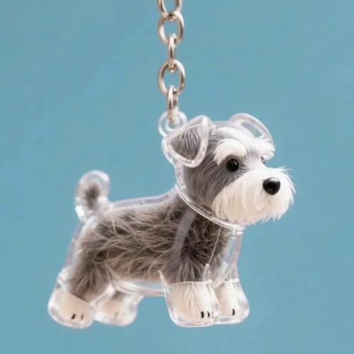 Hundehaar-Sammler-Schlüsselanhänger, Hundehaar-Anhänger, Pelz-Andenken, Kapsel-Anhänger, DIY-Haustier-Aufbewahrungsflasche, kreatives Gedenkgeschenk für Tierliebhaber