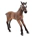 Produktbild SCHLEICH 13712 - Camargue Fohlen