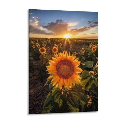 amhello Sunflower Canvas Poster Wall Art Decor Print Picture Paintings for Living Room Bedroom Decoration 24x36inch(60x90cm) Cover