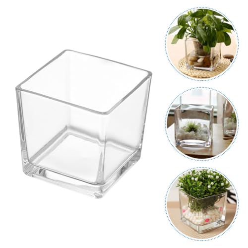 Vase en verre cube pour fleurs fraîches résolvant le manque d'espace - 8