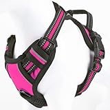 Gavpepy No Pull Dog Harness, Reflective Comfortable Vest Harness with Front & Back Easy Control Handle Adjustable Soft Padded Pet Vest for Small to Large Dogs(Rose,S)