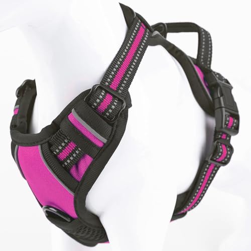Gavpepy No Pull Dog Harness, Reflective Comfortable Vest Harness with Front & Back Easy Control Handle Adjustable Soft Padded Pet Vest for Small to Large Dogs(Rose,S)