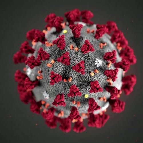 Episode 116 - Vaccines and Variants Part I cover art