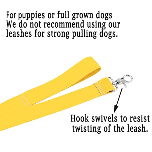 MYSOMY No Dogs/Not Dog Friendly Dog Leash (150cm, Polyester, No Dogs-l) - Image 3