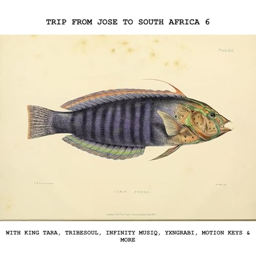 Trip from Jose to South Africa 6 with King Tara, Tribesoul, Infinity MusiQ, Yxngrabi & more