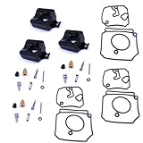 Alternative économique au remplacement complet du carburateur, ce kit réduit le temps et les ressources en réparant le carburateur au lieu de le remplacer.