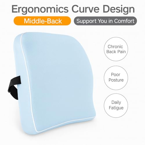 Image of Grin Health Back Support for Office Chair & Car, Memory Foam Orthopedic Back Rest Cushion for Back Pain Relief, Ideal Cushion for Spine Alignment and Posture Correction, Blue