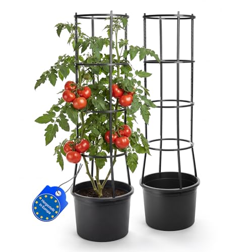 BigDean 2 Stück Tomatentopf mit Rankhilfe XL mit Wasserspeicher und Selbstbewässerung für Balkon und Terrasse