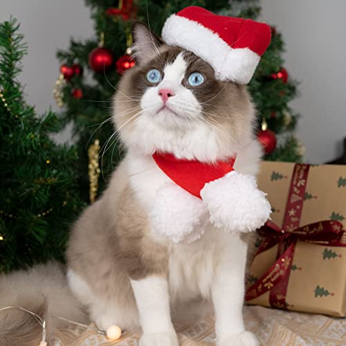 Cat Dog Christmas Outfit Costume: Cat Christmas Outfit, Christmas Costume For Cat Puppy, Cat Sweater Christmas Decorations Clothes For New Year Xmas Party Cosplay Supplies Head Wear Accessories #TOP2