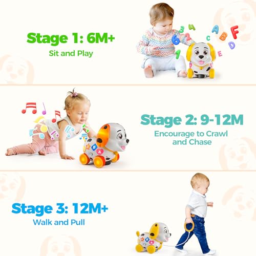Baby Toys 6-12 Month, 1st First Birthday Gift for 1 Year Old Boys Girls, Musical Crawling & Walking Puppy Toy 6 7 8 9 10 12-18 Month Old Bilingual Learning Developmental Toy by Hurdaos - Image 2