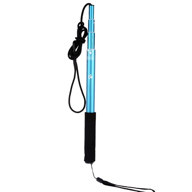 Foto 4 de 8 de Kavolet Juguete interactivo para perros para perros, poste de pesca para perros
