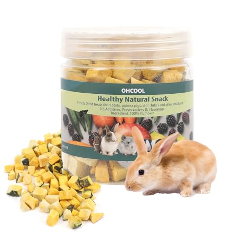 Ohcool Freeze Dried Pumpkin Treats, Natural No Additives, High Fiber Digestive Snack for Rabbits, Guinea Pigs, Hamsters, Chinchillas & Small Animals, Daily Healthy Chews, 1 oz