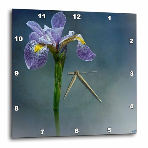 3dRose Iris Mist Blue Floral Flower 10x10 Wall Clock