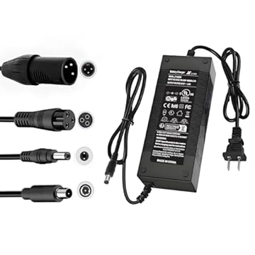 e bike with charger