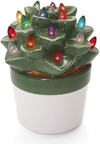 Milltown Merchants Ceramic Christmas Tree - Tabletop Christmas Tree with Lights - Lighted Vintage Ceramic Tree (Echeveria Succulent, Succulent Green)