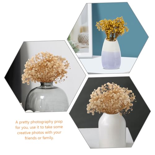 Ramo de flores secas Babys Breath 6 piezas para decoración miniatura 6