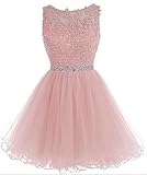 Dydsz Women's Appliques Prom Dress Short Party Cocktail Gown Beaded Teens Homecoming Dresses 126 Blush 2