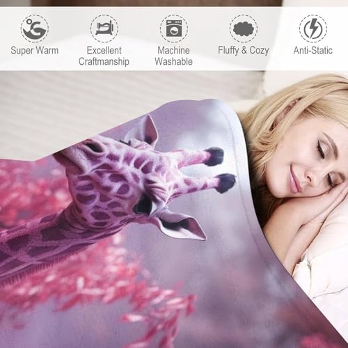 Manta de forro polar con jirafa suave colcha para sofá y cama grande de 150 x 200 cm 4
