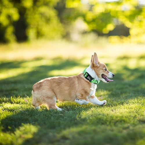 Image of Spring Summer Green Goose Print Dog Collar for Medium Dogs | Daily Walking,Farm Trips,Garden Picnic,Adjustable,Soft Cotton Fabric,Quick Release Plastic Buckle,Pendant,Female /Male Dog