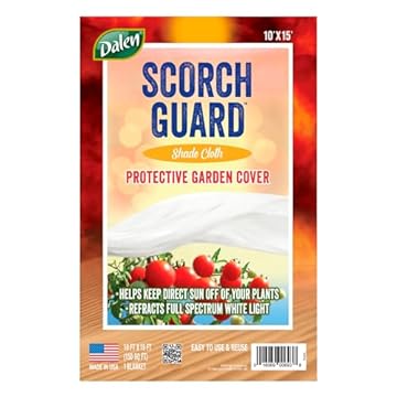 best direct sunlight plants