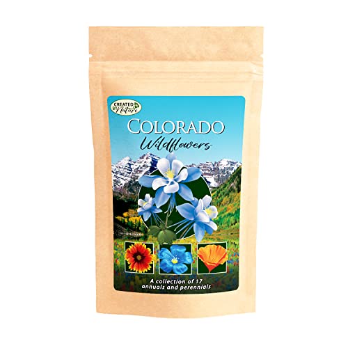 Comparison of Best Flower Seed For Colorado Top Picks 2023 Reviews