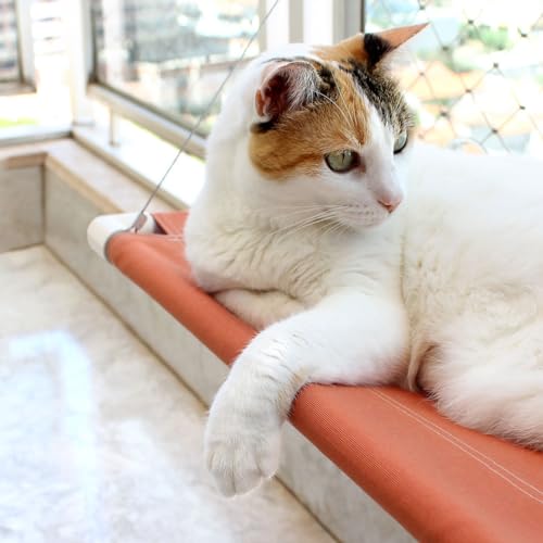 Cama de Janela para Gatos Catbed Gatton, Caminha para Gatos, Prateleira para Gatos, Catbed Média Col