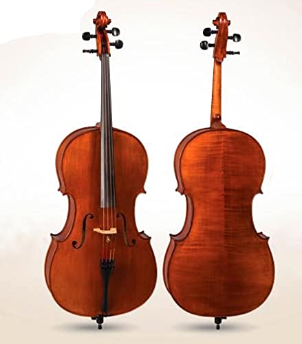 Sponsored Ad - D Z Strad Model 300 handmade Cello with Case, Bow and Rosin