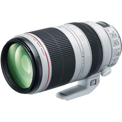 Canon RF 100-500mm lens