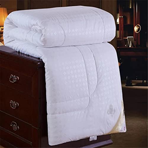 Edredón de seda natural para cama Queen King edredón de invierno Haitpant 3