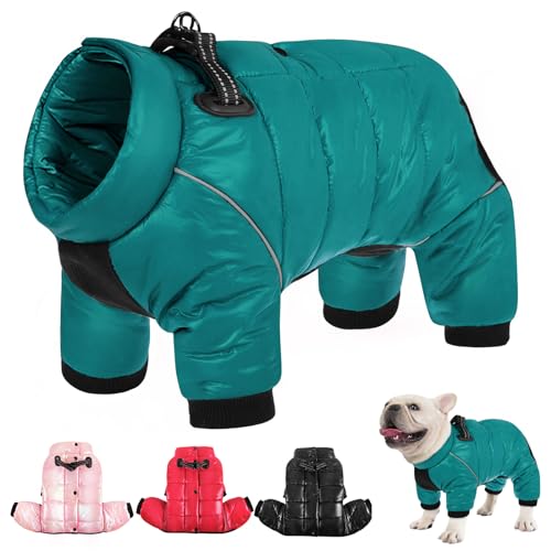 AOFITEE wasserdichte Hundemantel, Winter Warme Hundejacke für Kleine Mittel Hunde, Winddichte Hunde Wintermantel mit Reflektierender Streifen und Reißverschluss, Hund Schneeanzug mit Fleece