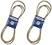 2 Pack Stens 265-514 OEM Replacement Belt World Lawn 5201008