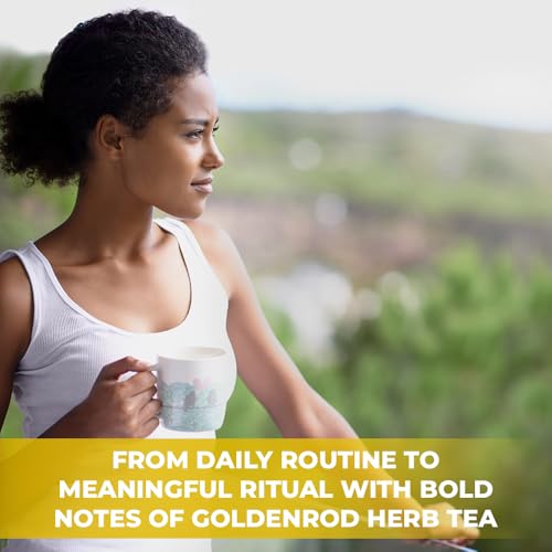 Image of 30 Bags Goldenrod Tea Herb Golden Root (Solidago virgaurea L.) - 45g Dried Golden Rod Herbs Herbal Tea
