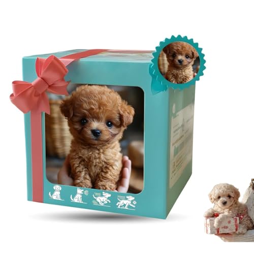 q^ybg{bgy2025NV^ AIF/Aȓz ybg{ { F ƒpRpjIhbO VjA{bg ql܂Ŋy߂ hЎT|[g ߋp  v[g LOi a (