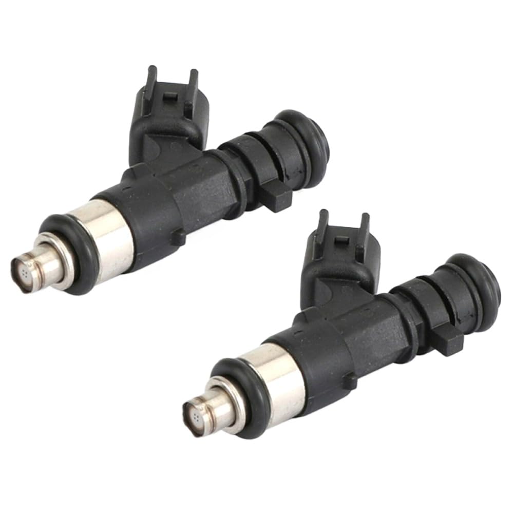 Dwcaxbrap Onecolor Fuel Injector Nozzles Compatible With Rzr Xp 800 Replacement For 0280158197 1204318 1204319