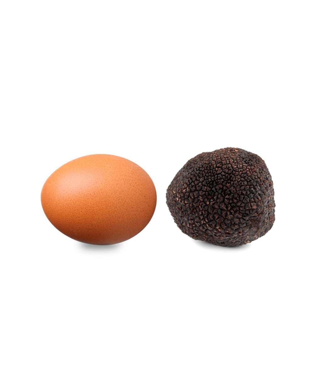 Trufa Negra Melanosporum L - (60gr) - 60 gr