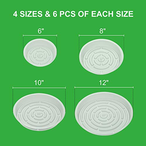 Growneer PSAUCER-24 Pack Of 6, 8, 10, 12 Inches Clear Plant Saucers Flower Pot Trays thumb #2