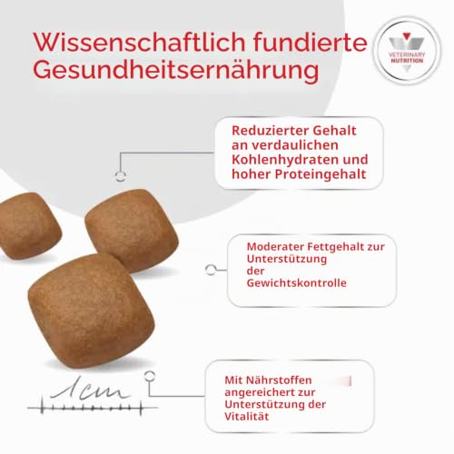 Royal Canin Diabetic Trockenfutter für Hunde - Bei Diabetes mellitus 12 kg