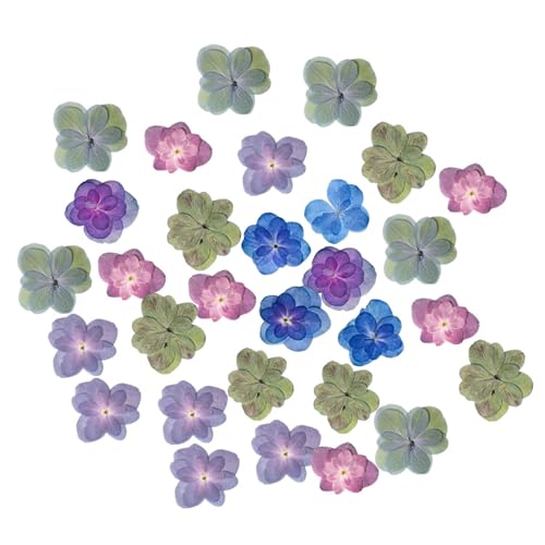 30 piezas flores secas prensadas multicolor para manualidades miniatura 1