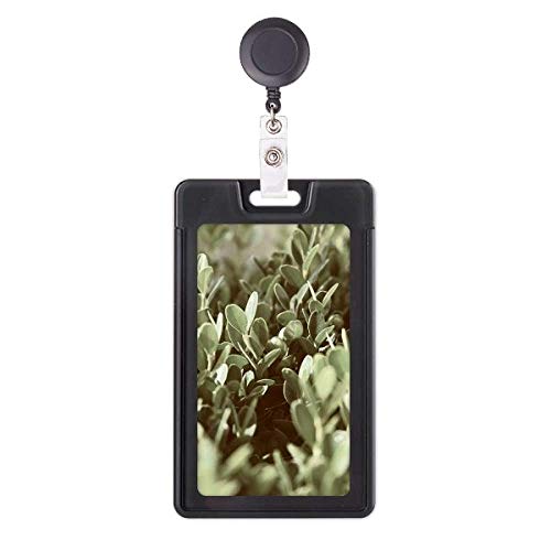 Porte-badge rétractable plantes et feuilles ensoleillées pour cartes et pass