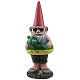 No Peeing in the Pool Lifeguard Gnome with Sunglasses Statue for Whimsical Outdoor Poolside or Beach & Tropical Garden Decor Sculptures and Retirement & Housewarming Gifts
