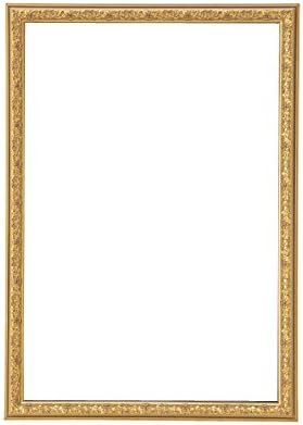 Amazon Co Jp ディスプレー用額縁 枠のみ アンティークゴールド ホーム キッチン