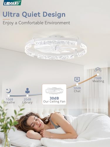 Image of LEDIARY 2-Pack 24 inch Ceiling Fans with Lights, APP & Remote, White