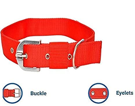 Image of Nylon Collar Combo with Heavy Dog Chain, 63 Inch (Medium, Red)
